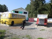 Bus